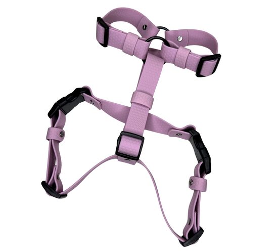 HEXA IEMAUKTI-LAVENDER